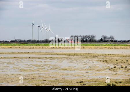 Zones humides dans la plaine inondable de la rivière Spui près de Goudswaard, aux pays-Bas, avec en arrière-plan une rangée d'éoliennes et une ferme avec des panneaux solaires Banque D'Images