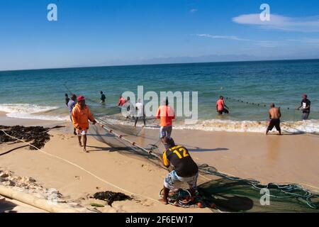 Pêcheurs tirant dans un grand filet de pêche sur long Plage Cape péninsulaire cape Town Afrique du Sud Banque D'Images