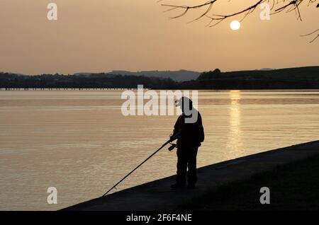 Homme solitaire canne et ligne de pêche depuis le bord de l'eau sur une matinée calme et ensoleillée avec le sable saharien suspendu santander Bay Cantabria Espagne Banque D'Images