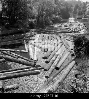 Radeaux de bûche sur la rivière Williamette entre Salem et Independence, Oregon. 1939 Photographie par Dorothea Lange. Banque D'Images