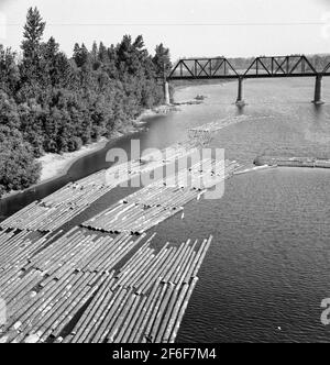 Radeaux de bûche sur la rivière Williamette entre Salem et Independence, Oregon. 1939 Photographie par Dorothea Lange. Banque D'Images