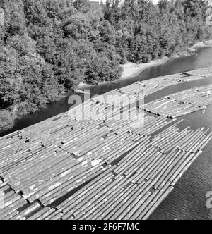 Radeaux de bûche sur la rivière Williamette entre Salem et Independence, Oregon. 1939 Photographie par Dorothea Lange. Banque D'Images