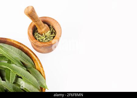 Feuilles de verveine citronnée fraîches isolées sur blanc - Aloysia citronnora Banque D'Images