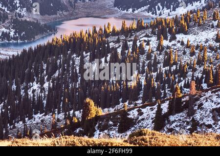 Forêt d'épinettes sur le fond du lac dans les hautes terres au coucher du soleil; la dernière lumière dorée du jour de passage sur les épinettes se tenant au milieu du Th Banque D'Images