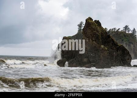Piles de la mer à Ruby Beach, parc national olympique, Washington Banque D'Images