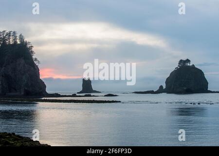Sea Stacks, parc national olympique Banque D'Images