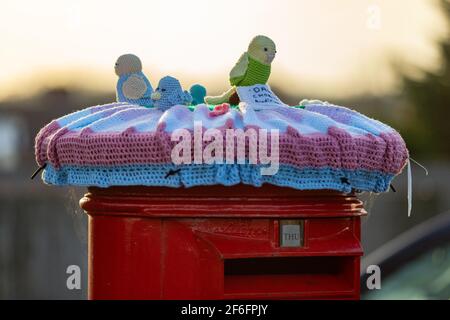 Bromsgrove, Worcs, Royaume-Uni. 31 mars 2021. Deux boîtes postales du Royal Mail ont soudainement été mystérieusement décorées avec de jolies couvertures de printemps crochetées dans la région de Catshill de Bromsgrove, Worcs. Les jolies couvertures ont des poussins, des lapins et des fleurs qui les ornent, et ont une étiquette de message chaleureuse et amicale attachée. Il semble qu'un groupe Facebook d'artisans au crochet appelés actes aléatoires de bonté au crochet est derrière le geste. D'autres boîtes postales qui ont été couvertes de la même façon sont situées à Battersea, à Lincoln et au pays de Galles. Crédit : Peter Lophan/Alay Live News Banque D'Images