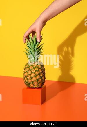 La main de femme saisit l'ananas des feuilles. Image minimale avec un seul ananas sur une table orange sur fond jaune. Banque D'Images