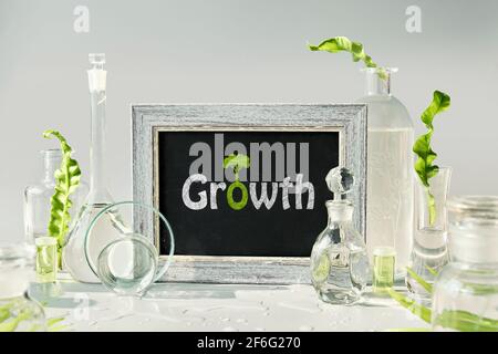 Laboratoire vert naturel. Croissance du texte sur tableau noir, tableau de craie. Feuilles vertes exotiques dans des flacons en verre transparent, des flacons, des boîtes de Pétri. Réflexions Banque D'Images