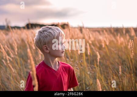 Un garçon blond sur un terrain avec des épillets d'herbe au coucher du soleil, regarde au loin. Vacances dans le village. Banque D'Images