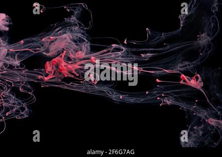 Couleur rouge encre peinture motif abstrait dans l'eau liquide Banque D'Images