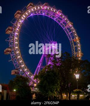 La roue du Prater Ferris : Riesenrad Wurstelprater après la tombée de la nuit : le célèbre parc de loisirs de Vienne, l'attraction la plus célèbre d'une immense roue antique de ferris juste après le coucher du soleil, éclairée par ses nombreuses lumières contre un ciel sombre. Banque D'Images