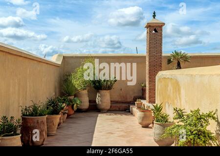 Jardin sur le toit-terrasse dans un riad marocain traditionnel Banque D'Images