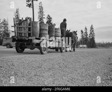 Fermier et son garçon transportant de l'eau pour boire et à des fins domestiques à la ferme de souche. Comté de Boundary, Idaho. 1939. Photo de Dorothea Lange. Banque D'Images