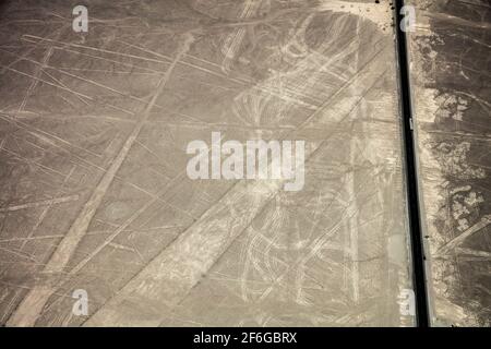 Les traces de pneus défont face aux géoglyphes de Nazca dans le sud du Pérou Banque D'Images