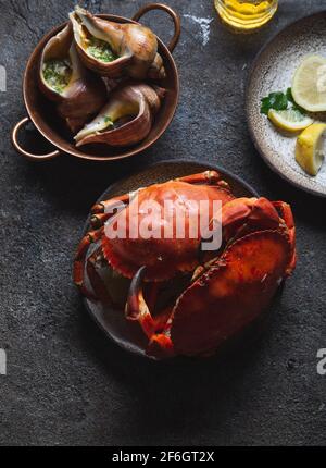 Fruits de mer frais moules, palourdes, crabes et escargots sur fond gris Banque D'Images