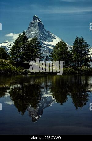 Suisse, Stellisee, Matterhorn et arbres reflétés dans le lac Banque D'Images
