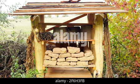 Insectes Hôtel fait de bois, argile, argile sans protection des oiseaux abeilles abeilles les abeilles sauvages nichent ici, trous comme une aide de couvain larves insecte bébé progéniture sauvage Banque D'Images