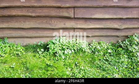 Fond modèle bois brun panneau de plaque de clapboard surface empilée herbe de clapboard modèle vert environnement naturel bio éco souterrain Banque D'Images