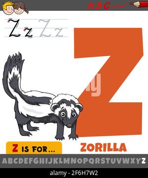 Illustration de dessin animé éducatif de la lettre Z de l'alphabet avec zorilla caractère animal pour les enfants Illustration de Vecteur