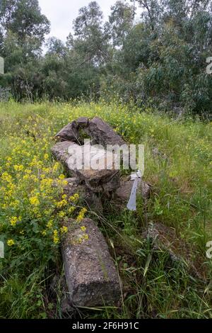 Ruines d'une mosquée du village palestinien dépeuplement d'al-Falluja qui a été détruite en 1948 sur les ruines dont le parc national de Plugot a été construit dans le district sud d'Israël. Banque D'Images