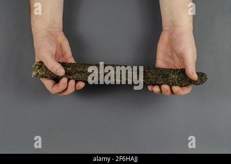 Tripe de bœuf séché et mains mâles sur fond gris. Les mains tiennent un gros bâton d'estomac de bovin. Gâteries naturelles pour chiens. Produits pour animaux de compagnie. Banque D'Images