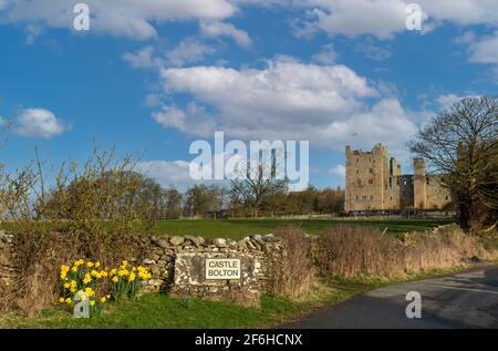 Château de Bolton, North Yorkshire, Royaume-Uni. 30 mars 2021. Château de Bolton à Springtime avec jonquilles jaunes. Château de Bolton, Wensleydale, Yorkshire Dales Banque D'Images