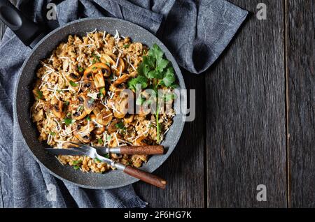 risotto aux champignons crémeux classique parsemé de parmesan râpé dans une casserole, plat, espace libre, cuisine italienne Banque D'Images