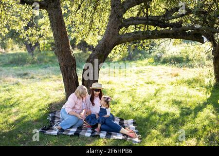 Famille de plusieurs générations passant du temps à l'extérieur dans un jardin d'été ensoleillé, assis sur une couverture à carreaux sous le grand pommier. Grand-mère mature avec fille et petite-fille dans le parc. Banque D'Images