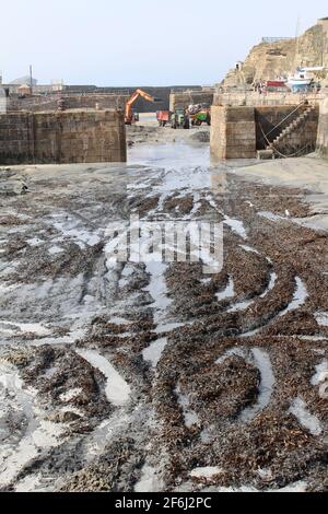 Opérations de dragage dans le port de Portreath à marée basse. Banque D'Images