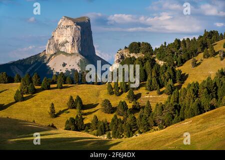 Mont aiguille en été dans les hauts plateaux du Vercors. Parc naturel régional du Vercors, Isère, Rhône-Alpes, Alpes françaises, France Banque D'Images