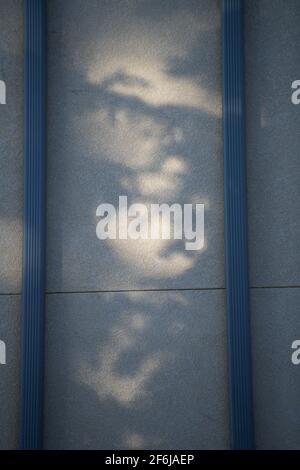 Les ombres des branches d'arbre sont projetées sur le mur extérieur en béton jaune ou gris de la maison entre deux lignes verticales de division de tuyaux d'écoulement en métal pour l'écoulement de l'eau Banque D'Images