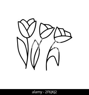 Trois Tulips vecteur noir et blanc illustration isolée en style doodle, fleur, cadeau de vacances, printemps et été saison. Bouquet dessiné à la main Illustration de Vecteur