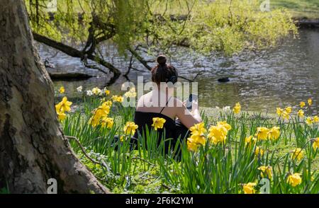 Regent's Park London une femme britannique assise parmi les jonquilles au chaud Le jour de printemps le 2021 mars après l'assouplissement des restrictions de verrouillage Banque D'Images