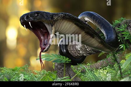 illustration 3d du cobra King ou du gros serpent noir qui s'enroule autour de l'arbre sur un arrière-plan flou de jungle. modèle rendu 3d avec masque. Banque D'Images