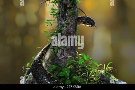 illustration 3d du cobra King ou du gros serpent noir qui s'enroule autour de l'arbre sur un arrière-plan flou de jungle. modèle rendu 3d avec masque. Banque D'Images