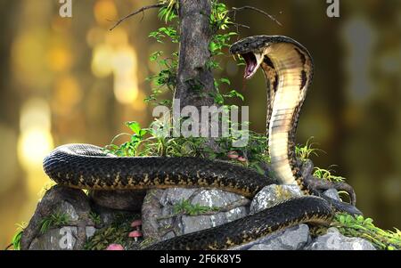 illustration 3d du cobra King ou du gros serpent noir qui s'enroule autour de l'arbre sur un arrière-plan flou de jungle. modèle rendu 3d avec masque. Banque D'Images