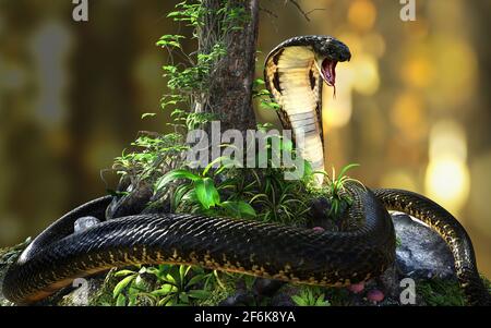 illustration 3d du cobra King ou du gros serpent noir qui s'enroule autour de l'arbre sur un arrière-plan flou de jungle. modèle rendu 3d avec masque. Banque D'Images