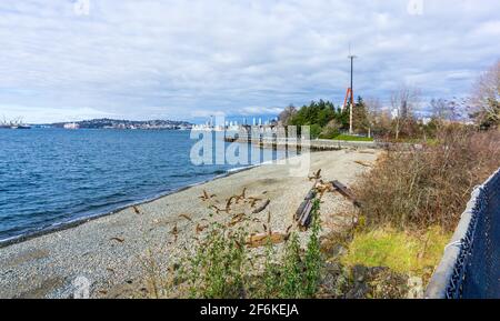 Vue sur les gratte-ciel de Seattle depuis le parc Jack Block à l'ouest de Seattle, Washington. Banque D'Images