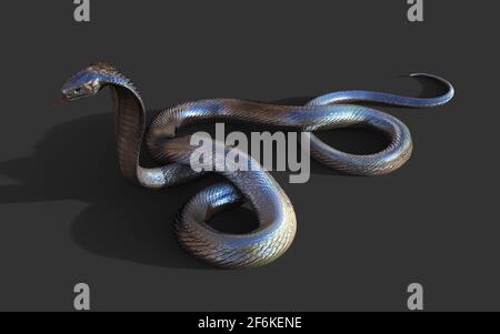 illustration 3d King Cobra le serpent venimeux le plus long au monde isolé sur fond noir, King Cobra Snake, rendu 3d Banque D'Images