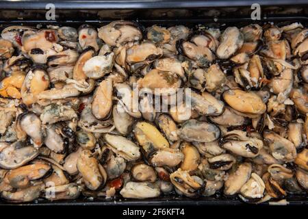 Moules dans un contenant en plastique noir Banque D'Images