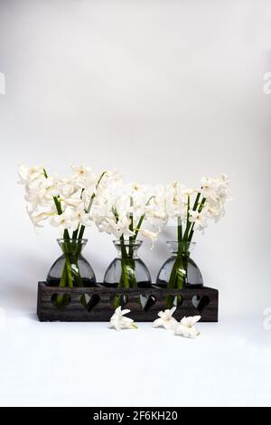 Bouquets de jacinthes blanches dans de petits vases en verre sur un arrière-plan blanc Banque D'Images