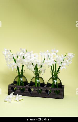 Bouquets de jacinthes blanches dans de petits vases en verre sur un arrière-plan jaune Banque D'Images