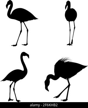 4 silhouettes flammantes. Lignes lisses et propres. Silhouettes flammantes hautes en détails. Illustration vectorielle. Illustration de Vecteur