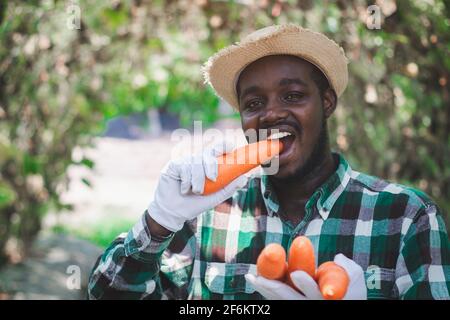 Heureux fermier africain debout dans la ferme biologique avec manger Carotte.concept d'agriculture ou de culture Banque D'Images