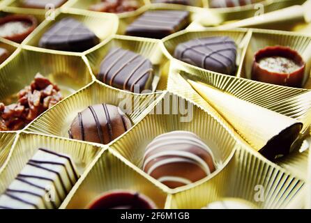 Sélection de lait fin et de pralines belges au chocolat noir. Banque D'Images