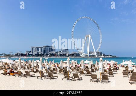 Dubaï, Émirats arabes Unis, 22.02.2021. Ain Dubai (Dubai Eye) la plus grande roue de ferris au monde sur l'île de Bluewaters, club de plage JBR avec chaises longues au premier plan. Banque D'Images
