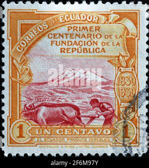 Fermier et boeufs sur le timbre d'époque de l'Équateur Banque D'Images