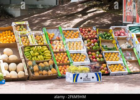 fruits et légumes présentés dans des boîtes dans une rue Afrique du Sud Banque D'Images