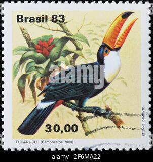 Toco toucan sur timbre-poste brésilien Banque D'Images